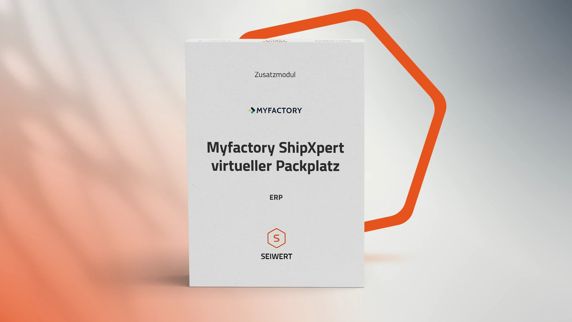 ShipXpert virtueller Packplatz